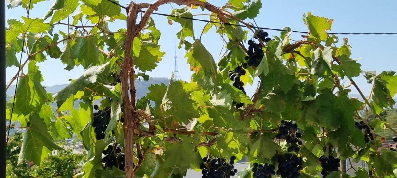 Eco Tbilisi 아파트 외부 사진